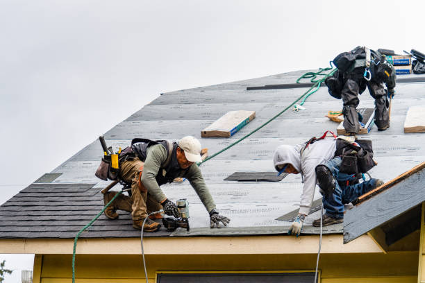 Professional Emergency Roof Repair technician working in Savannah, NY